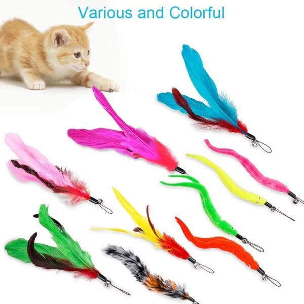 Cat Toys Feather Toy, 2PCS Retractable Wand and 10PCS Replacement Teaser with Bell Refills, Interactive Catcher and Funny Exercise for Kitten. - Image 5