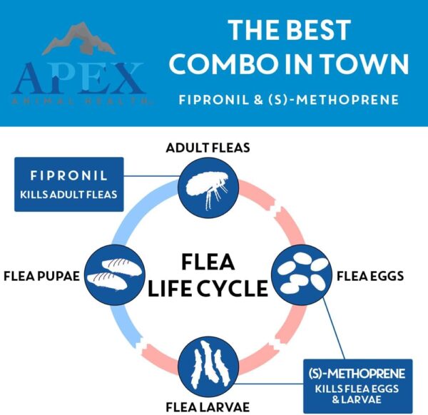 Apex Plus Flea and Tick Prevention for Dogs | Medium (23-44 lbs) | 3-Month Supply | Dog Flea and Tick Treatment | 24-Hour Activation, Waterproof, 30-Day Protection - Image 3