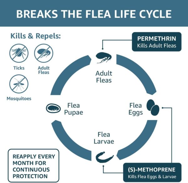 Amazon Basics Flea, Tick & Mosquito Topical for X-Large Dog (over 55 pounds), 4 Count - Image 3