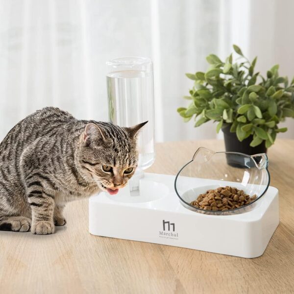 Marchul Tilted Cat Food Bowl with Feeding Mat for Food and Water, Food Feeding Dishes for Raised Cats and Puppies - Image 2