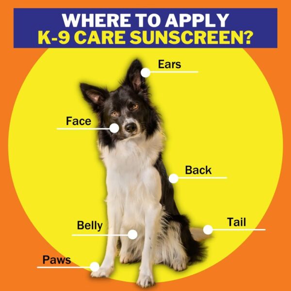 K-9 Care Sunscreen, Paws to Tail Protection, Prevents Sunburns on Dogs and Horses, Sun Protector Spray, SPF 30+, Non-Greasy/Oily Solution – 3.5 oz - Image 7