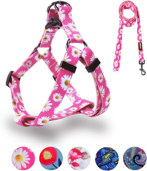 QQPETS Dog Harness Leash Set Adjustable Heavy Duty No Pull Halter Harnesses for Small Medium Large Breed Dogs Back Clip Anti-Twist Perfect for Walking (XS(12"-18" Chest Girth), Daisy)