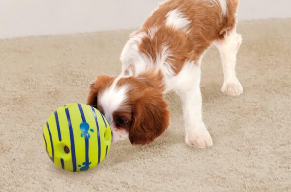 Wobble Wag Giggle Ball, Interactive Dog Toy, Fun Giggle Sounds When Rolled or Shaken, Pets Know Best, As Seen On TV - Image 9