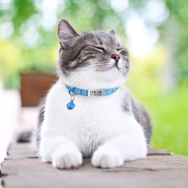 TagME 2 Pack Cat Collar with Name Tag, Personalized Reflective Cat Collar Breakaway with Bell for Boy & Girl Kitten, SkyBlue - Image 2