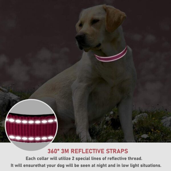 Reflective Dog Collar with Buckle Adjustable Safety Nylon Collars for Small Medium Large Dogs, Pink S - Image 4