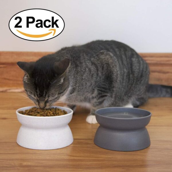 Kitty City Raised Cat Food Bowl Collection/Stress Free Pet Feeder and Waterer and Slow Feed Bowls - Image 6