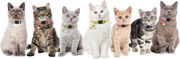 7 Pack Breakaway Cat Collars with Bells & Fruit Pendants,Safety Kitten Collar,Adjustable,Ideal for Girl Cats Boy Male Cats Pet Supplies,Accessories,Gifts - Image 5