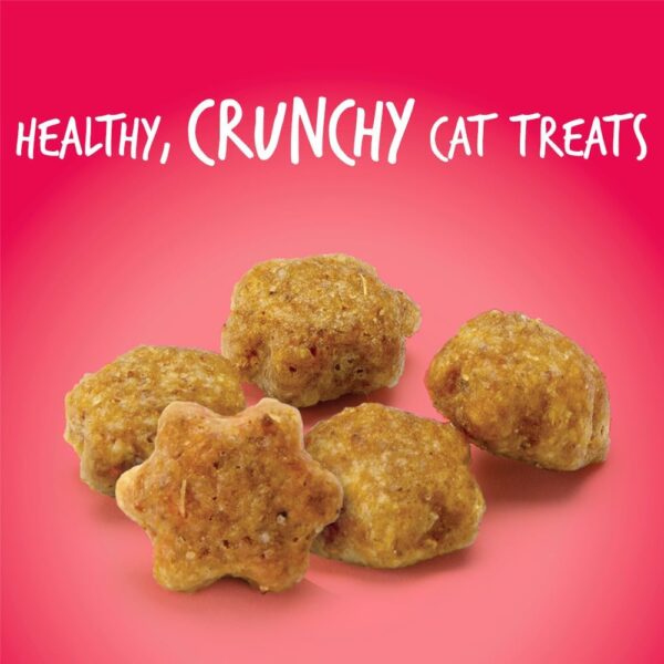 Fruitables Cat Crunchy Treats For Cats – Healthy Low Calorie Packed with Protein – Free of Wheat, Corn and Soy – Made with Real Salmon with Cranberry – 2.5 Ounces - Image 7