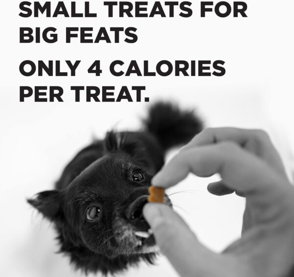 BIXBI Liberty Trainers, Peanut Butter - Small Training Treats for Dogs - Low Calorie, All Natural, Grain Free Dog Treats - Image 5