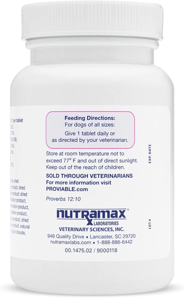 Nutramax Laboratories Proviable Digestive Health Supplement Multi-Strain Probiotics and Prebiotics for Dogs, With 7-Strains of Bacteria, 60 Chewable Tablets - Image 2