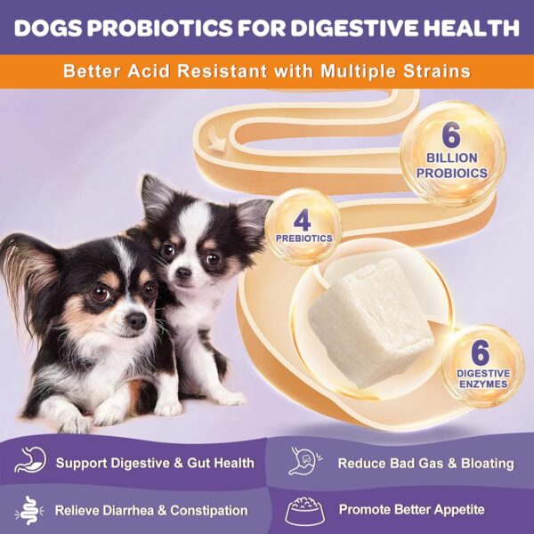 Probiotics for Dogs, 6 Billion CFUs, Freeze Dried Dog Probiotics with Prebiotics and Digestive Enzymes, Vitamins and Omega 3, for Gut & Skin & Immune Health, Allergy Itch Relief, Reduce Diarrhea, Gas - Image 2