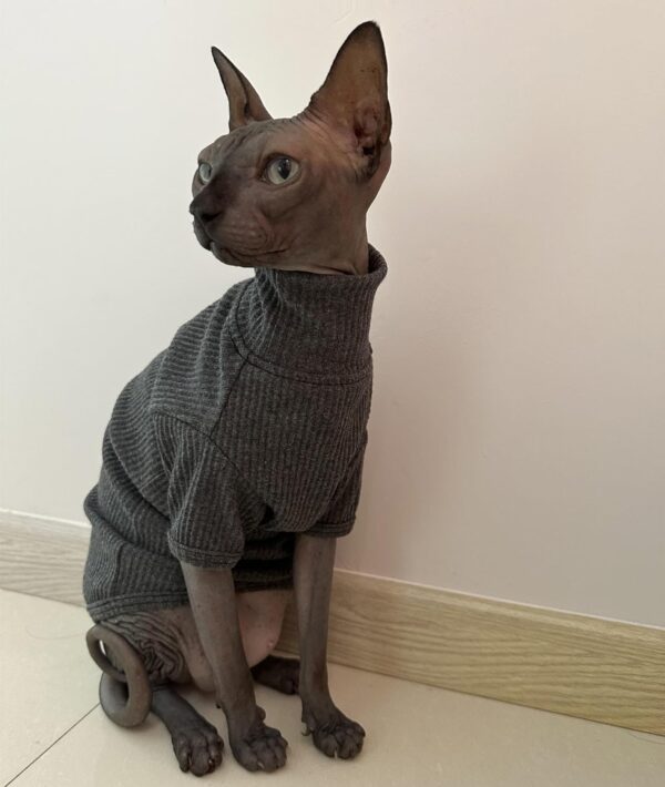 Sphynx Cats Shirt Cat Turtleneck Cotton Sweater Pullover Kitten T-Shirts with Sleeves Cat Pajamas Jumpsuit for Sphynx Cornish Rex, Devon Rex, Peterbald (Medium (Pack of 1), Deep Grey) - Image 3