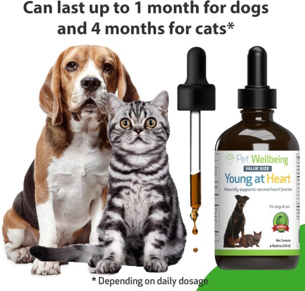 Pet Wellbeing Young at Heart for Dogs & Cats - Vet-Formulated - Supports Cardiovascular (Heart & Circulatory) Health - Natural Herbal Supplement 4 oz (118 ml) - Image 7