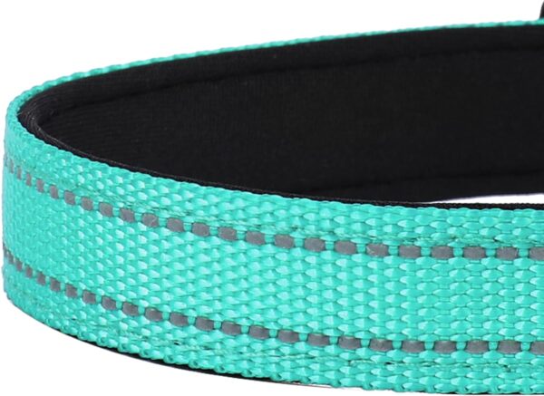 Reflective Dog Collar, Adjustable Soft Neoprene Padded Nylon Pet Collars with Buckle for Small Dogs, Teal,S - Image 5