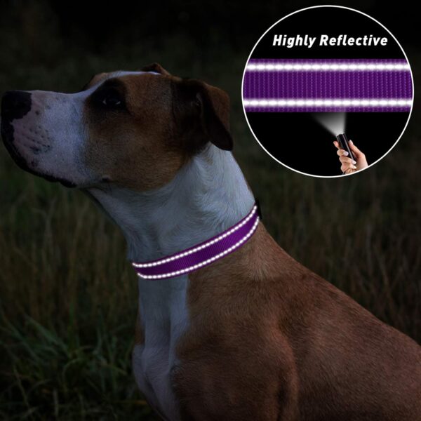 TagME Reflective Nylon Dog Collars, Adjustable Classic Dog Collar with Quick Release Buckle for Small Dogs, Purple, 5/8" Width - Image 5