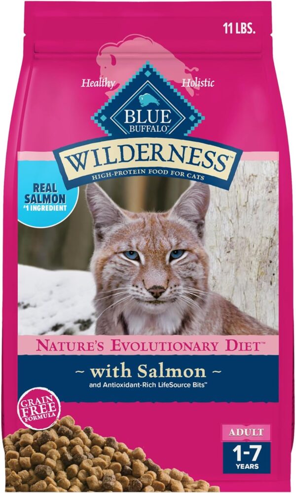 Blue Buffalo Wilderness High Protein, Natural Adult Dry Cat Food, Salmon 11-lb