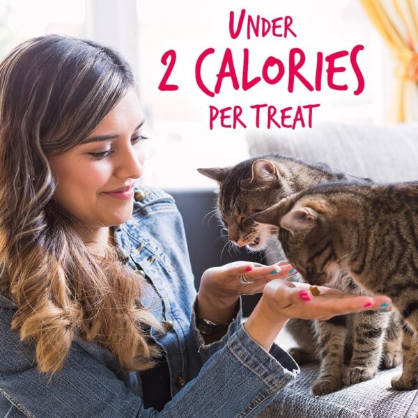 Fruitables Cat Crunchy Treats For Cats – Healthy Low Calorie Packed with Protein – Free of Wheat, Corn and Soy – Made with Real Salmon with Cranberry – 2.5 Ounces - Image 5