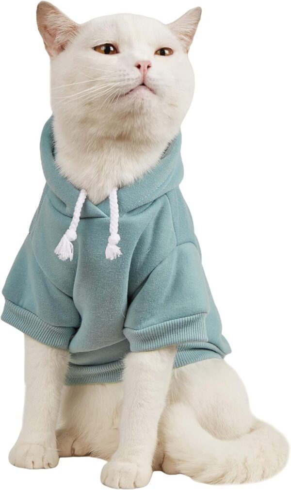 QWINEE Basic Dog Hoodie, Dog Warm Jacket, Cat Apparel, Dog Shirt, Dog Clothes for Puppy Kitten Small Medium Dogs Cats Cadet Blue M