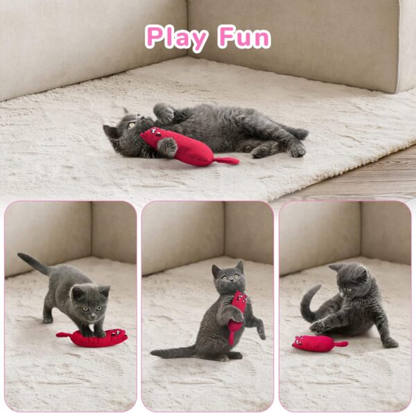 5Pcs Bite Resistant Catnip Toy for Cats,Catnip Filled Cartoon Mice Cat Teething Chew Toy - Image 5