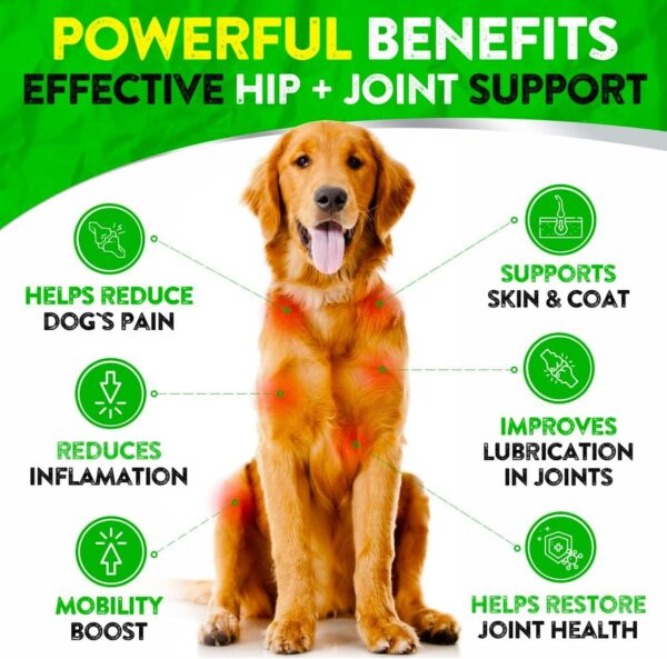 Hemp Hip and Joint Supplement for Dogs - Glucosamine for Dogs - 170 Dog Joint Pain Relief Treats - Chondroitin, Hemp Oil, MSM - Mobility & Flexibility Support - Advanced Joint Health - Made in USA - Image 2