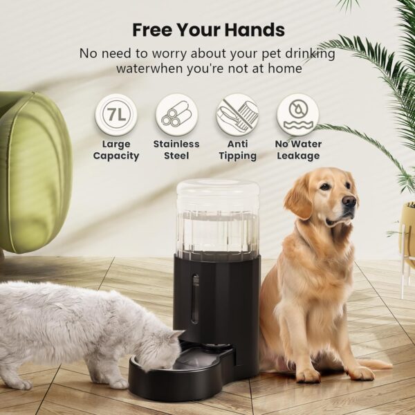 CZPET Automatic 7L Dog and Cat Water Dispenser with Stainless Steel Bowl Gravity Waterer,100% BPA-Free,Large Capacity and Drinking Area Noise-Free for Pets(7L Water Dispenser, Black) - Image 2