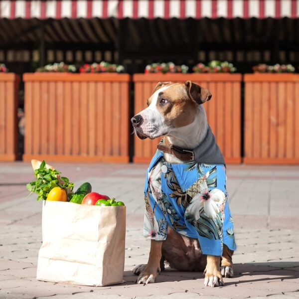 4 Pieces Summer Pet Shirts Hawaii Style Floral Dog T-Shirt Hawaiian Puppy T-Shirts Breathable Pet Cool Clothes Beach Seaside Dog Shirt Sweatshirt for Dogs Pet Puppy (Small) - Image 5