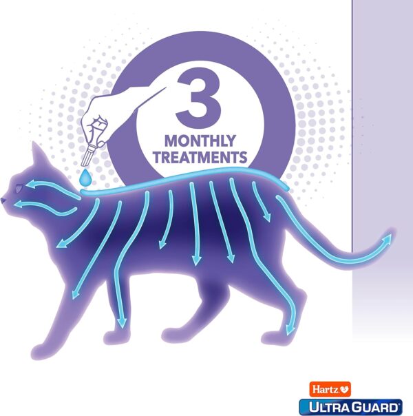 Hartz UltraGuard Topical Flea & Tick Prevention for Cats and Kittens - 3 Monthly Treatments - Image 5