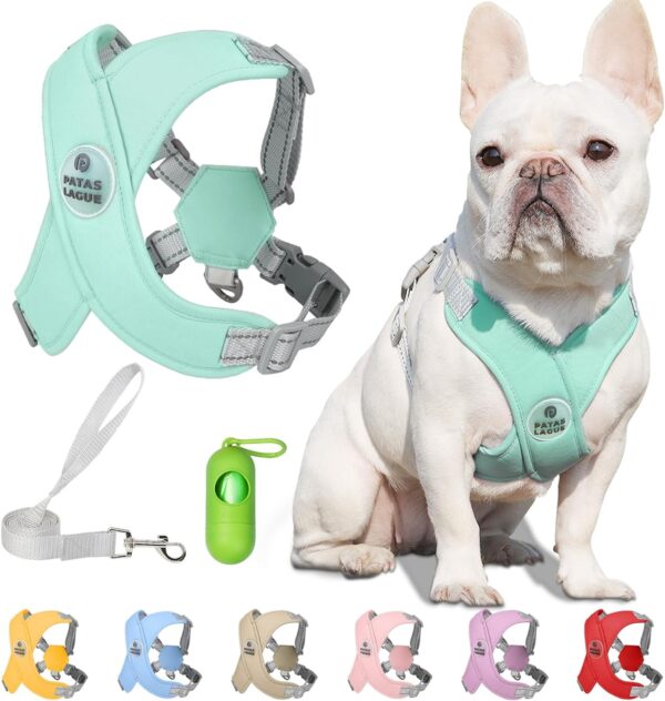 Patas Lague Dog Harness with Leash Adjustable Soft Padded Step-in Dog Vest No Choke No Pull Reflective for Small Medium Dogs with Poop Bags and Dispenser, Solid and No-chew, Green S