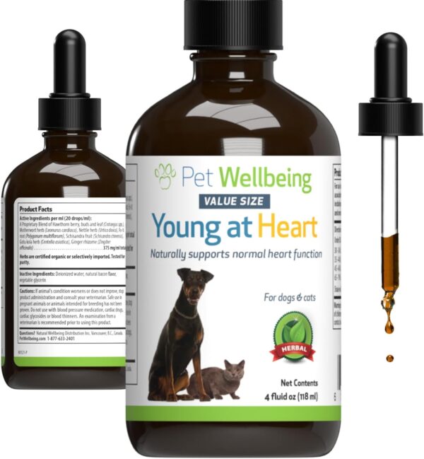 Pet Wellbeing Young at Heart for Dogs & Cats - Vet-Formulated - Supports Cardiovascular (Heart & Circulatory) Health - Natural Herbal Supplement 4 oz (118 ml)