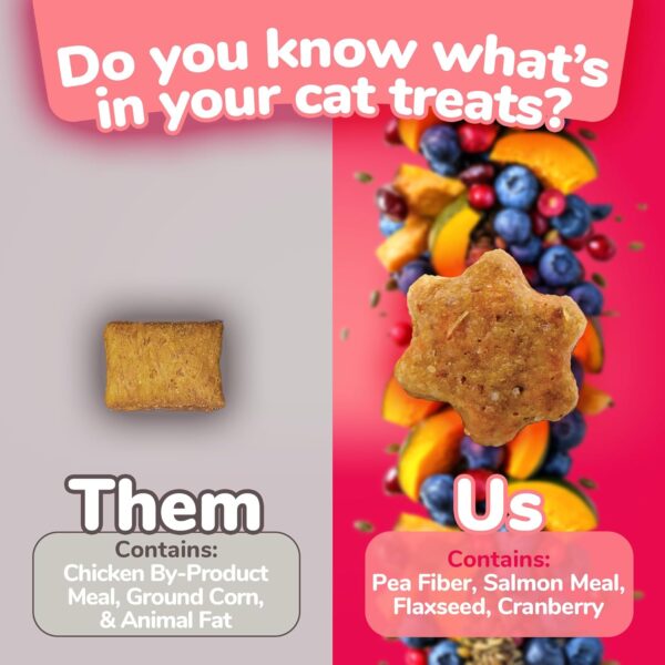 Fruitables Cat Crunchy Treats For Cats – Healthy Low Calorie Packed with Protein – Free of Wheat, Corn and Soy – Made with Real Salmon with Cranberry – 2.5 Ounces - Image 4