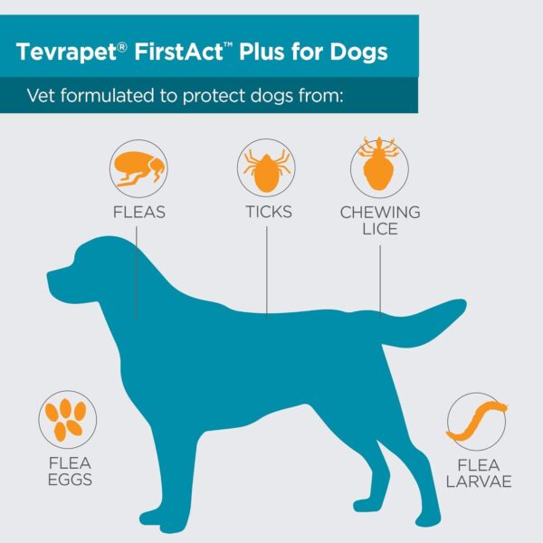 FirstAct Plus Flea Treatment for Dogs, Large Dogs 45-88 lbs, 6 Doses, Same Active Ingredients as Frontline Plus Flea and Tick Prevention for Dogs - Image 4