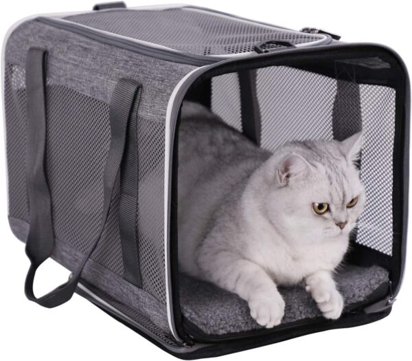 petisfam Easy Load Soft Pet Carrier for Large and Medium Cats. Sturdy, Well-Ventilated, Collapsible for Easy Storage, Easy Vet Visits