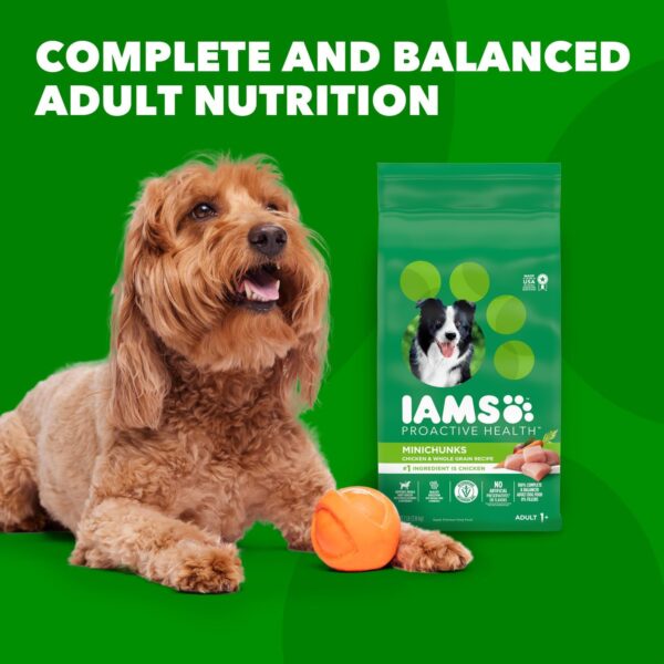 IAMS Proactive Health Minichunks Adult Dry Dog Food with Real Chicken and Whole Grains, 30 lb. Bag - Image 11