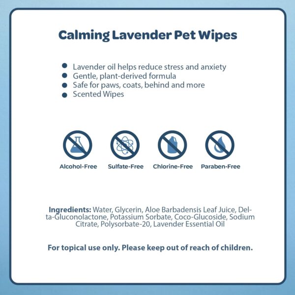 Best Pet Supplies 8" x 9" Pet Grooming Wipes for Dogs & Cats, 100 Pack, Plant-Based Deodorizer for Coats & Dry, Itchy, or Sensitive Skin, Clean Ears, Paws, & Butt - Calming Lavender - Image 5