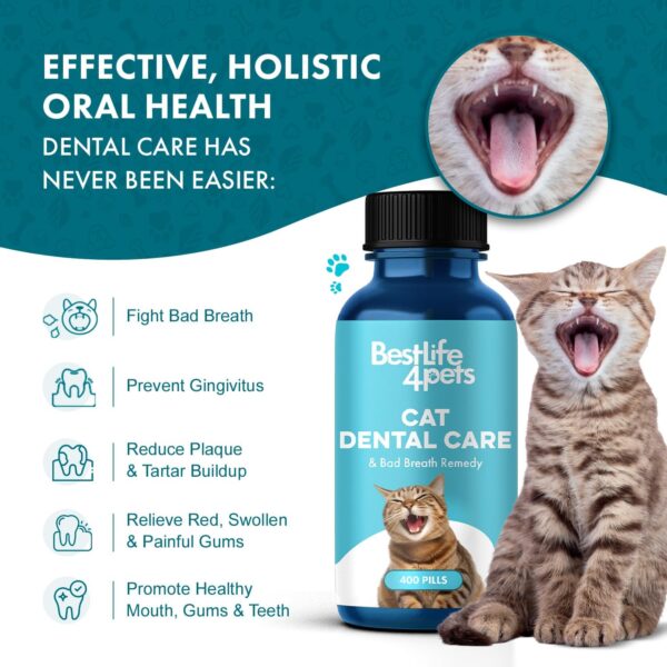 BestLife4Pets Cat Dental Care & Bad Breath Remedy - Natural Oral Health for Cats Gums, Gingivitis and Tooth Pain, Daily Pet Breath Freshener, Tartar and Plaque Remover Treat, Easy To Use Cat Oral Care - Image 3