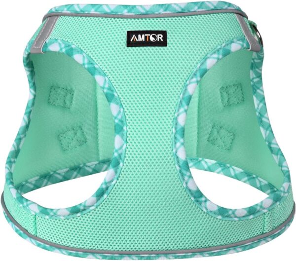 AMTOR Small Dog Harness with Leash Set, No Escape Easy Walk Puppy Harnesses for Training Walking, Step-in Reflective Soft Dogs Vest for XS S Medium Extra-Small Large Sized Dog(Green,S) - Image 2