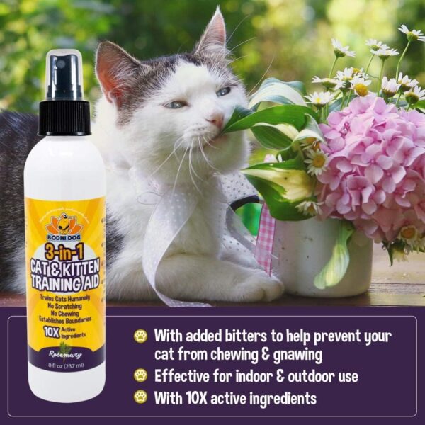 Bodhi Dog 3-in-1 Cat & Kitten Training Aid | Cat Deterrent Spray for Indoor and Outdoor Use | Cat Repellent Spray for Furniture | Establish Boundaries & Keep Cat Off | Made in The USA (8 oz) - Image 3