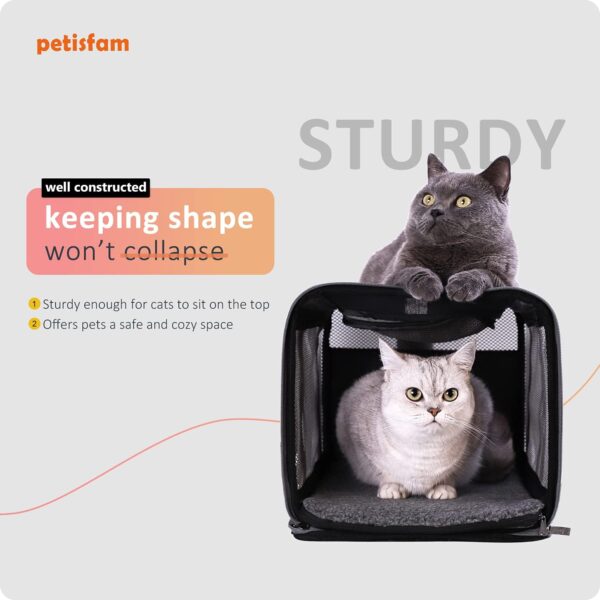 petisfam Easy Load Soft Pet Carrier for Large and Medium Cats. Sturdy, Well-Ventilated, Collapsible for Easy Storage, Easy Vet Visits - Image 3