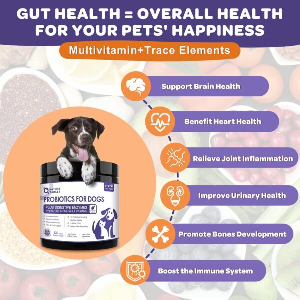 Probiotics for Dogs, 6 Billion CFUs, Freeze Dried Dog Probiotics with Prebiotics and Digestive Enzymes, Vitamins and Omega 3, for Gut & Skin & Immune Health, Allergy Itch Relief, Reduce Diarrhea, Gas - Image 6