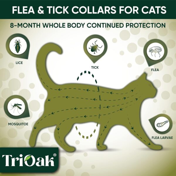 Flea Collar for Cats: 4 Pack Cat Flea Collar - Flea and Tick Collar for Cats - Cat Flea and Tick Collar - Kitten Flea Collar, 4 Pack Gray - Image 2