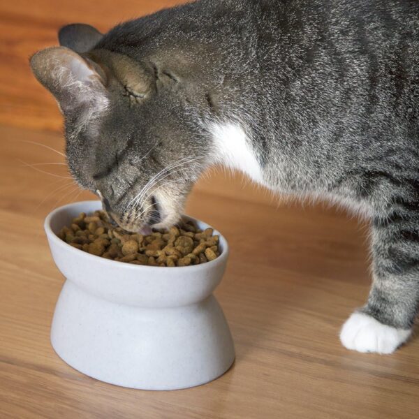 Kitty City Raised Cat Food Bowl Collection/Stress Free Pet Feeder and Waterer and Slow Feed Bowls - Image 3