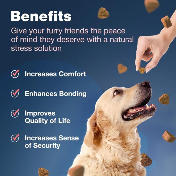 Flea and Tick Prevention for Dogs Chewables - Dog Flea Treatment Chews - Flea and Tick Chewables for Dogs - Dog Flea & Tick Control Soft Treats - Natural Prevention - Dog Immune Support Supplement - Image 4