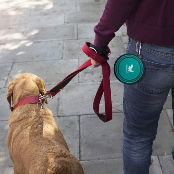 Collapsible Dog Bowls for Travel, 2-Pack Dog Portable Water Bowl for Dogs Cats Pet Foldable Feeding Watering Dish for Traveling Camping Walking with 2 Carabiners, BPA Free - Image 7