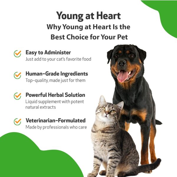 Pet Wellbeing Young at Heart for Dogs & Cats - Vet-Formulated - Supports Cardiovascular (Heart & Circulatory) Health - Natural Herbal Supplement 4 oz (118 ml) - Image 4