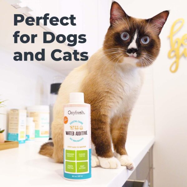 Oxyfresh Premium Pet Dental Care Solution Pet Water Additive: Best Way to Eliminate Bad Dog Breath and Cat Bad Breath - Fights Tartar & Plaque - So Easy, Just Add to Water! Vet Recommended 16 oz. - Image 5