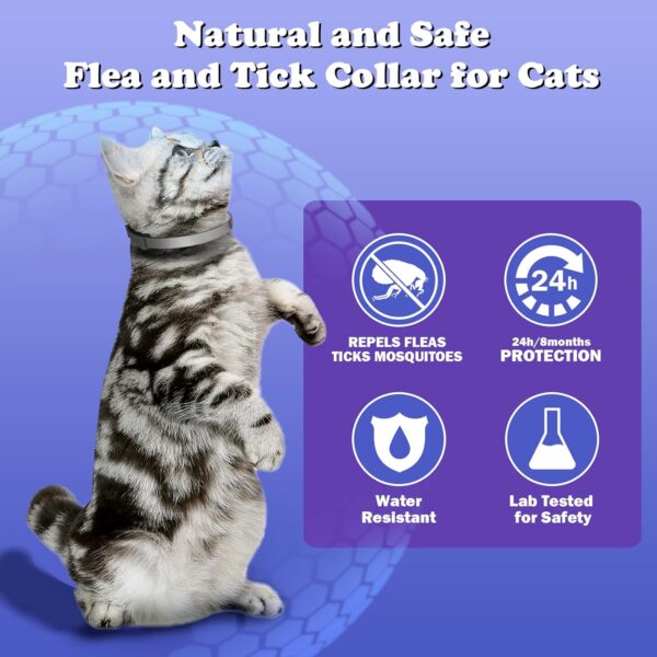 Flea and Tick Collar for Cats Kittens, 8 Months of Cat Flea Collar Protection 2 Collars Made with Premium Plant Based Essential Oil Waterproof and Natural Treatment Prevention Free Comb - Image 4