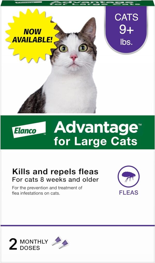 Advantage Topical Cat Flea Treatment and Prevention for Large Cats 9 lbs.+ | 2 Month Supply