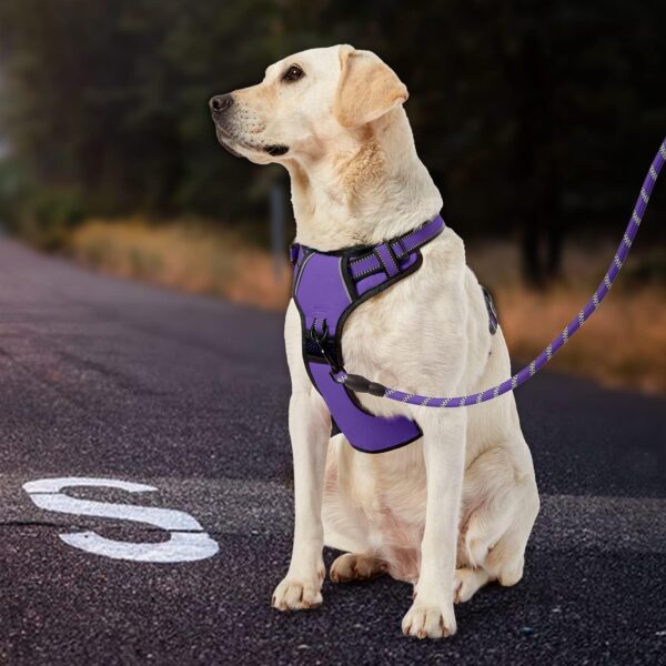 IVY&LANE No Pull Dog Harness for Small Dogs, Dog Vest Harness with Leash, Safety Belt and Storage Strap, Fully Adjustable Harness, 360° Reflective Strip, Soft Handle (Purple, S) - Image 7