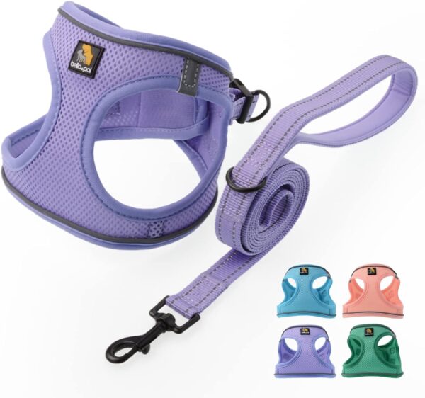 BELLA & PAL Puppy Harness with Leash Set, Dog Harness for Small Dogs No Pull, Dog Leash for Small Dogs, Step in Harness for Extra Small Dogs, Purple Lavender Harness, XS