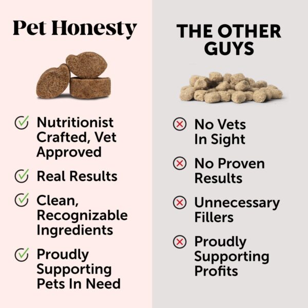 Pet Honesty Flea and Tick Prevention for Dogs Supplement - Natural Flea and Tick Chews for Dogs, Oral Flea Pills, No Harsh Chemicals, Natural Way to Enjoy The Outdoors - Bacon (90 Count) - Image 5